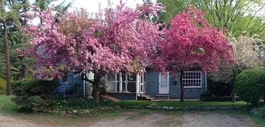 Photo - 12 W Pelham Rd