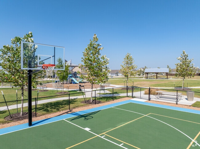 Basketball