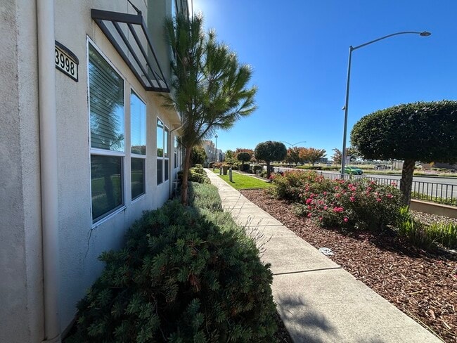 Photo - 3998 E Commerce Way