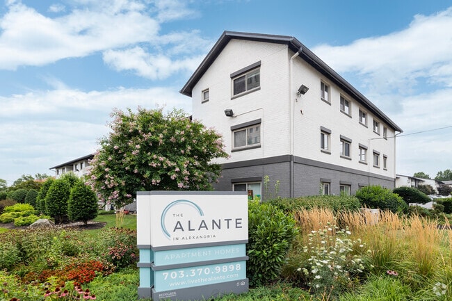 The Alante in Alexandria