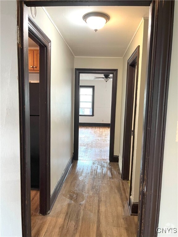 Building Photo - 601-603 Court St Rental