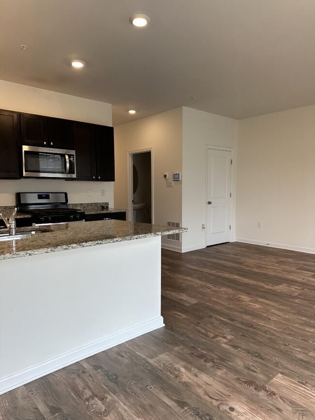 Photo - Modern Kitchen • Walk-In Closet • Private Primary Suite
