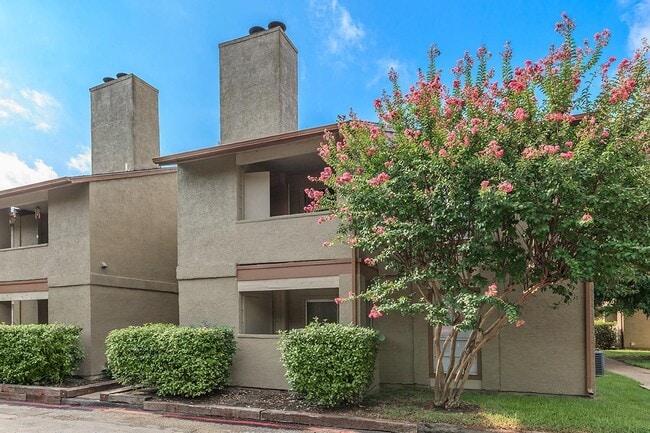 Photo - Austin Woods