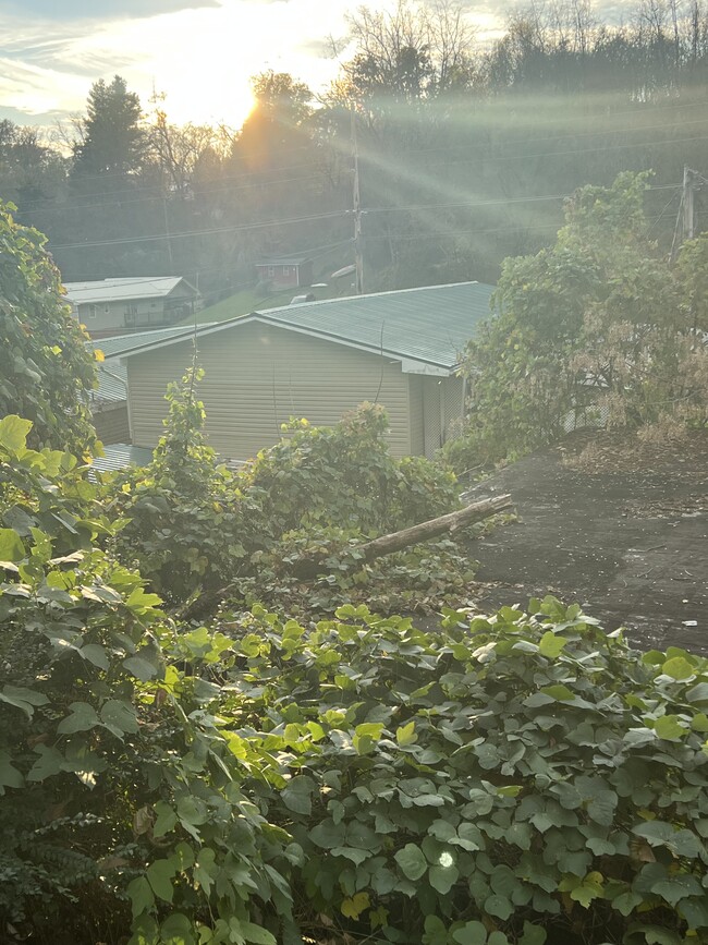 Photo - Lynn Garden