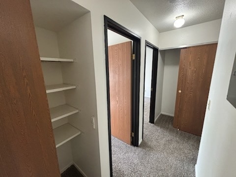 2 Bedroom Pantry and Hall