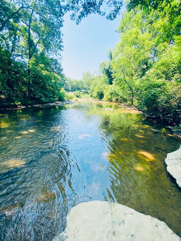 Photo - 263 Southburn Dr