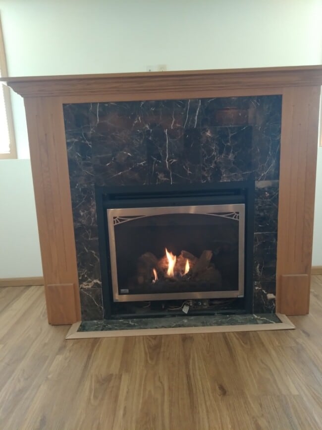 Fire place - 150 Erin Ct