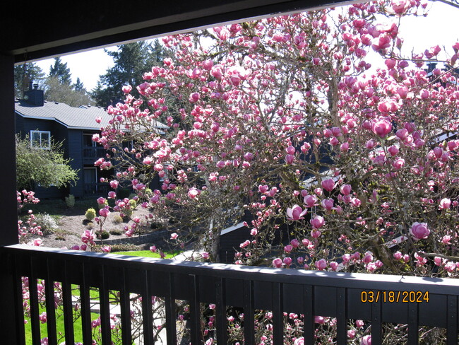 magnolia off patio - 9370 SW 146th Ter Condo Unit 7