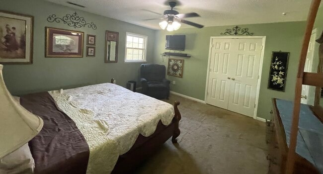 TV, ceiling fan, plenty of natural light - 92 Crawford Rd