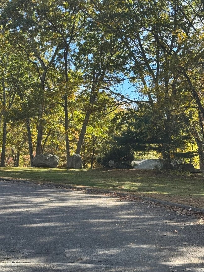 Photo - 20 Dartmouth Rd