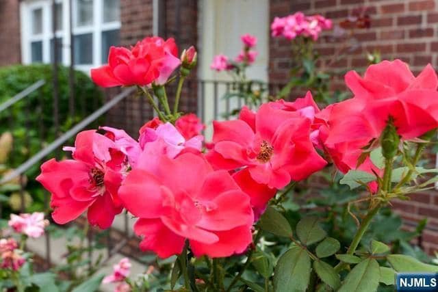 Photo - 395 S Park St Unit 395G