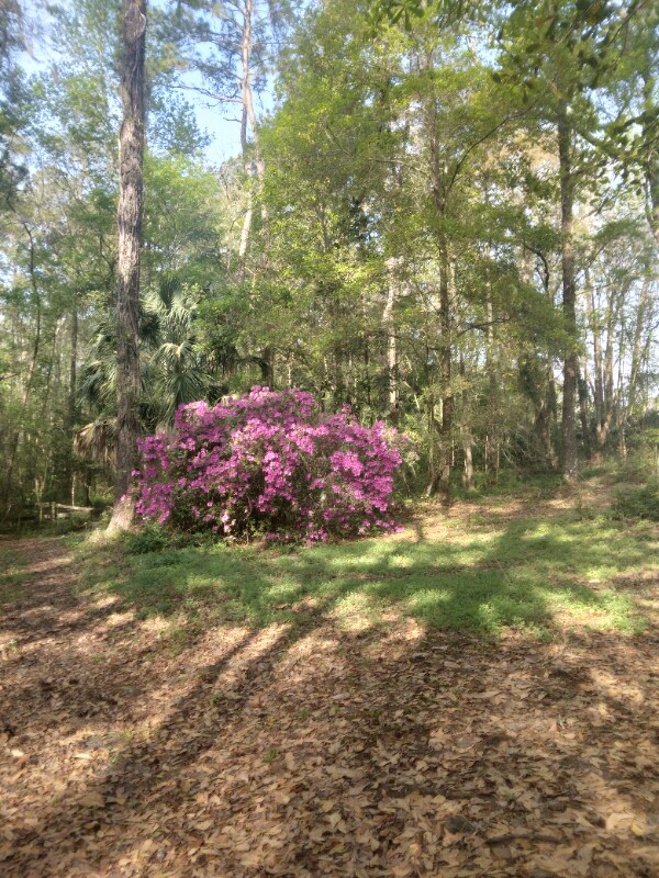 Photo - 8035 NW 120th St