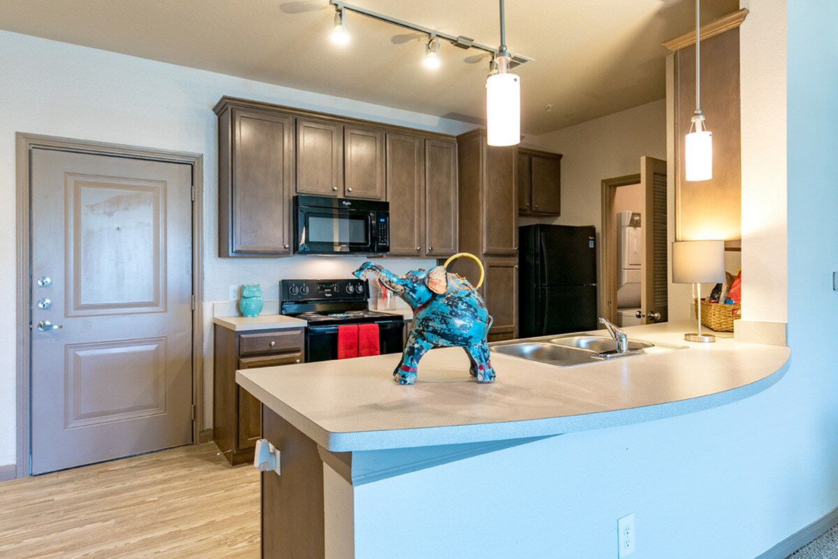 Midtown Corpus Christi Apartments For Rent In Corpus Christi Tx Forrentcom