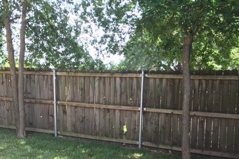 Back yard - 113 W 13th Ave Unit A
