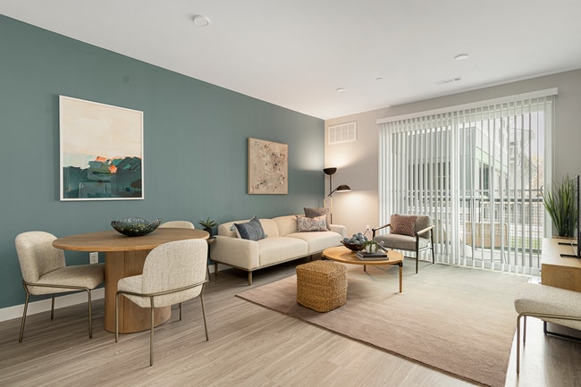 Photo - Aster at the Summit