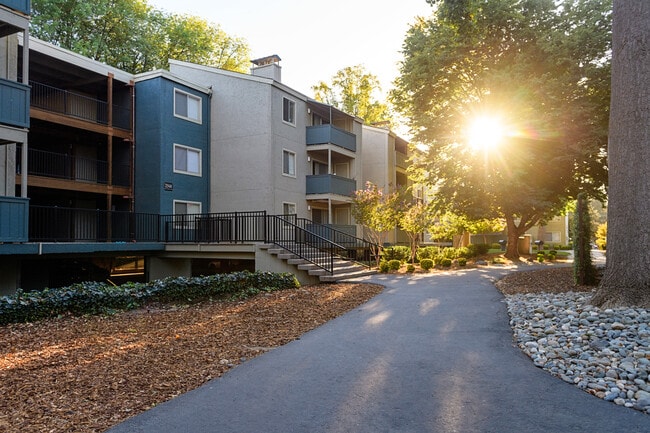 American River Commons