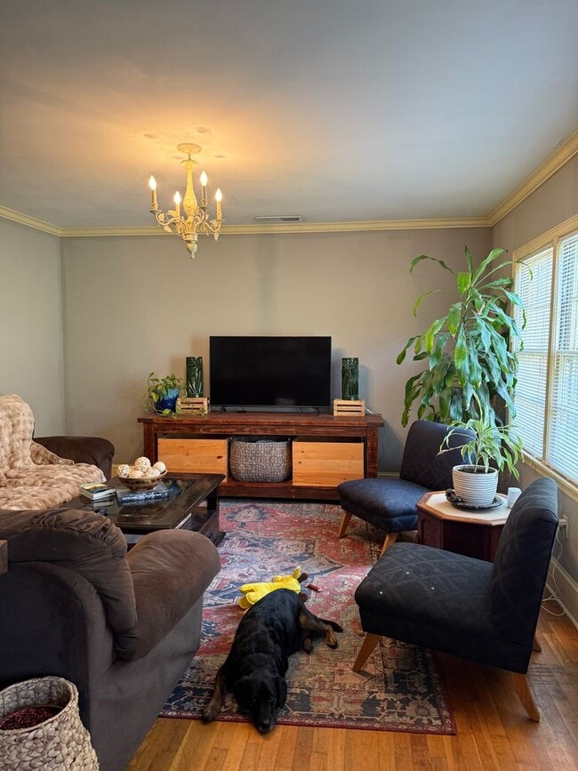 Photo - 207 Gran Ellen Dr Unit A