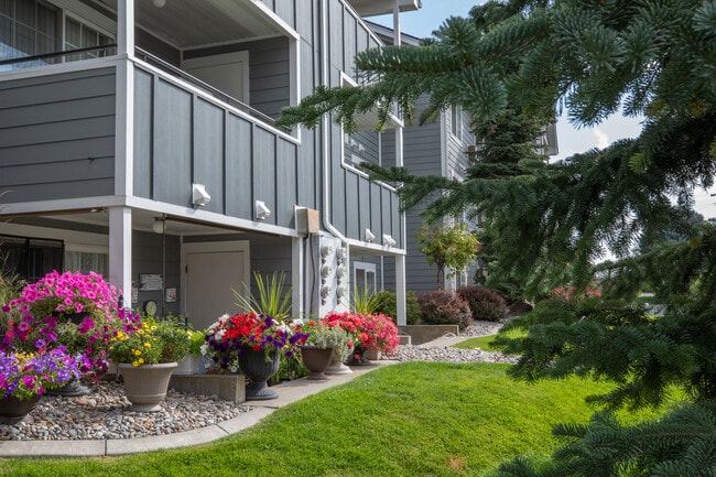 Photo - Morning Glory Circle