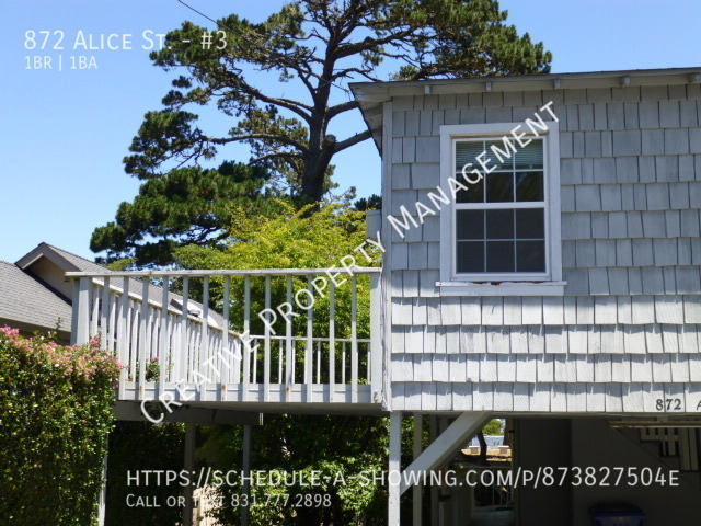 1 Bedroom Apartment in Monterey, CA 93940 - 1 Bedroom Apartment in Monterey, CA 93940 Unidad #3