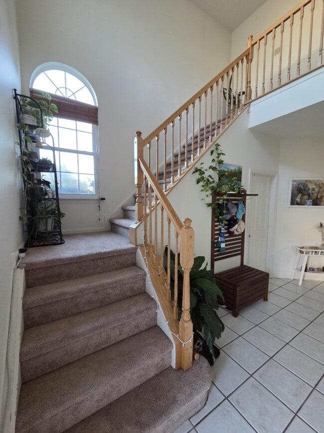 Photo - 34 Degas Cir