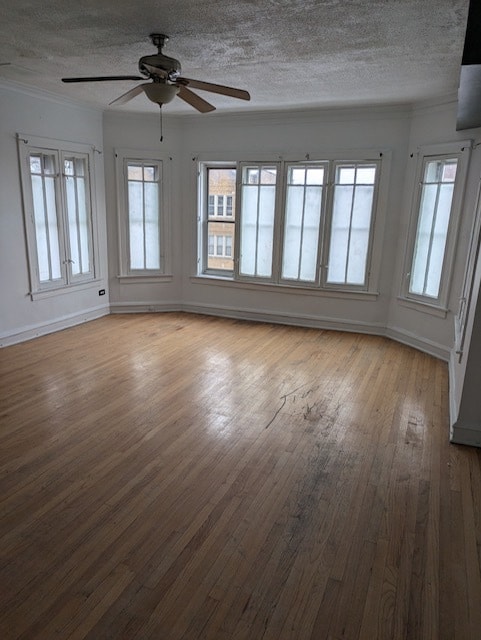 Living Room - 8010 S Marshfield Ave Apartamentos