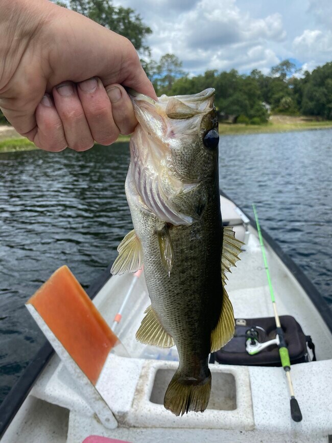 311 White Sands Beaches Dr House House Rental in Hawthorne, FL