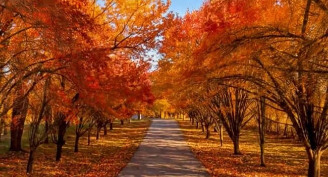 Photo - 27210 S Hwy 125