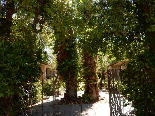 Photo - Maroa Lanai Apartments