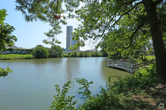 Pond