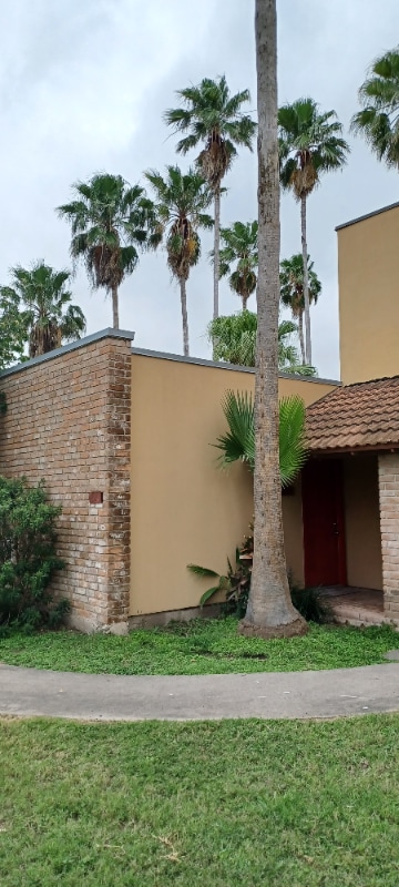 Building Photo - 301 Bolivar Ave