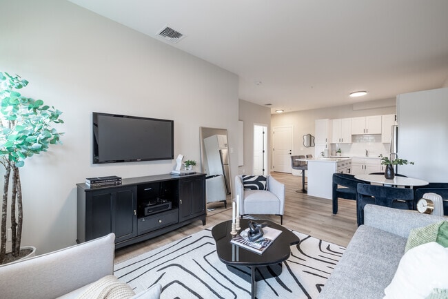 1BR, 1BA - 721SF - Living Room