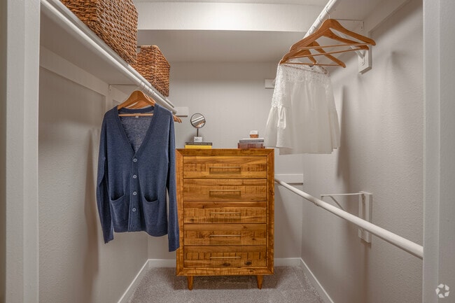 1BR, 1Ba - 659SF Walk In Closet