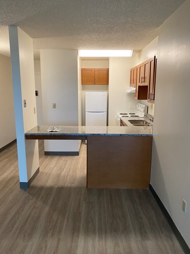 Apartment Home Kitchen