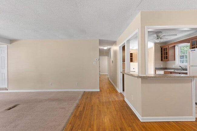 Photo - Northwoods Cutie!