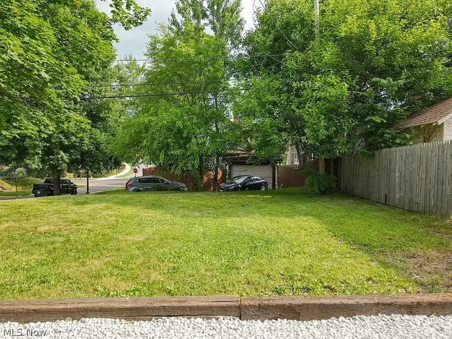Plenty of yard space for pets - 411 Lindenwood Ave