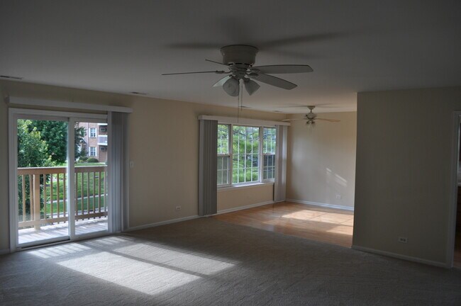223 S Rush St Unit 2D
