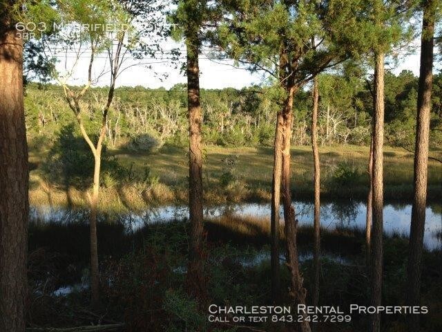 Photo - 603 Merrifield Court