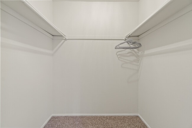 Spacious Walk-In Closet