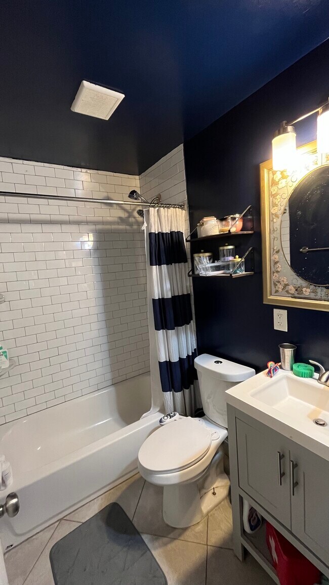 The shared bathroom - 127 S Jordan St