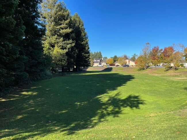 Photo - 1717 Algol Ct