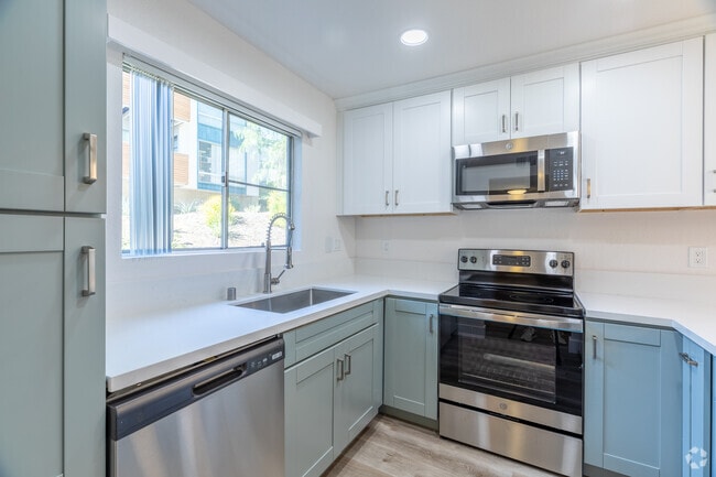 Trolley Palm - Trolley Palm