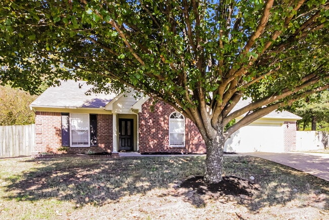 Building Photo - 8153 Green Valley Cove