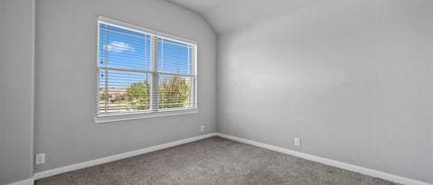 Photo - 12001 Rustling Oaks Dr