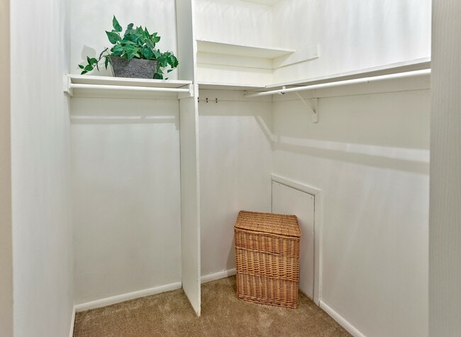 Expansive walk-in closet at Haynes Run Apartments featuring shelving, hanging rods, and plush carpeting for optimal organization and comfort.