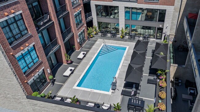 Royal Oak's Only Downtown Pool