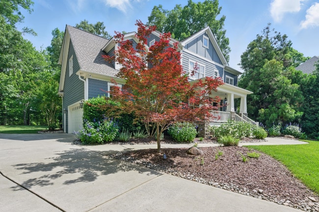 Photo - 10 Brown Bear