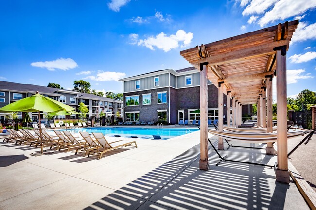 Swimming Pool, Loungers, and Hammocks