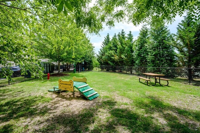 The Promenade Apartments - Dog Park