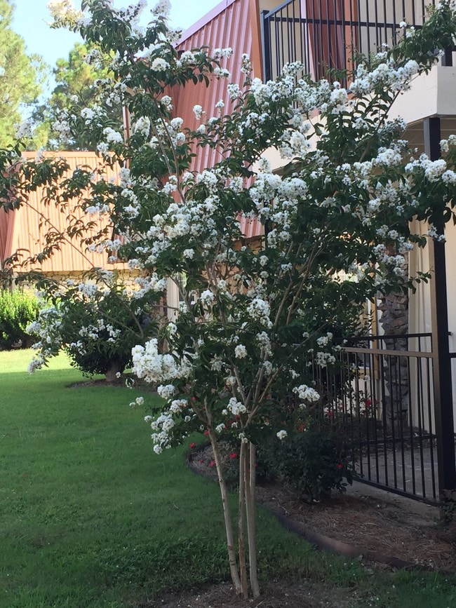 Castlegate Luxury Apartments