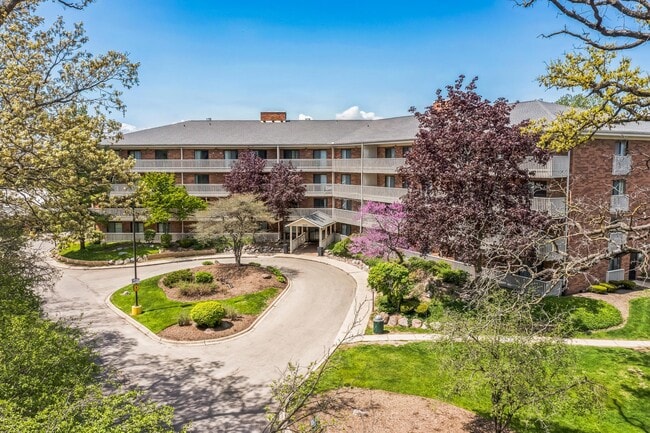 Building Photo - Luna Park